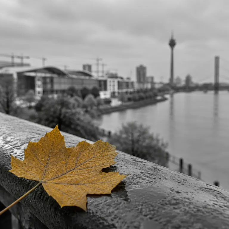 Messeherbst in Düsseldorf: jetzt buchen, bevor die guten Zimmer weg sind
