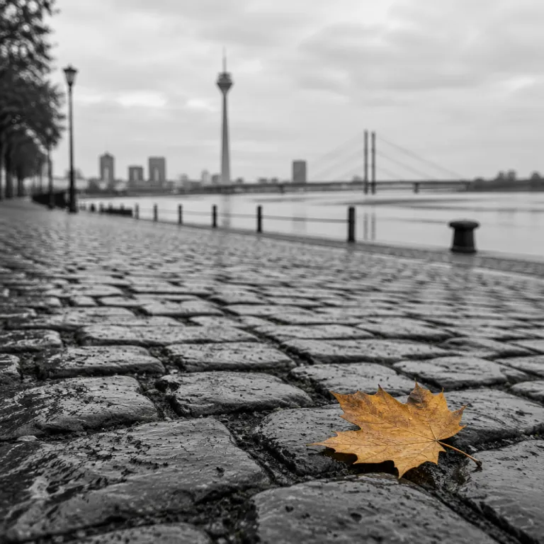 Düsseldorf für Paare: romantische Orte, sinnliche Abende und die beste Hotellage